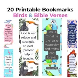 Christian Bird Bookmarks Set | Bible Verse Scripture Cards | Encouragement Faith Gift for Women | Bible Study Favor | Religious Gift